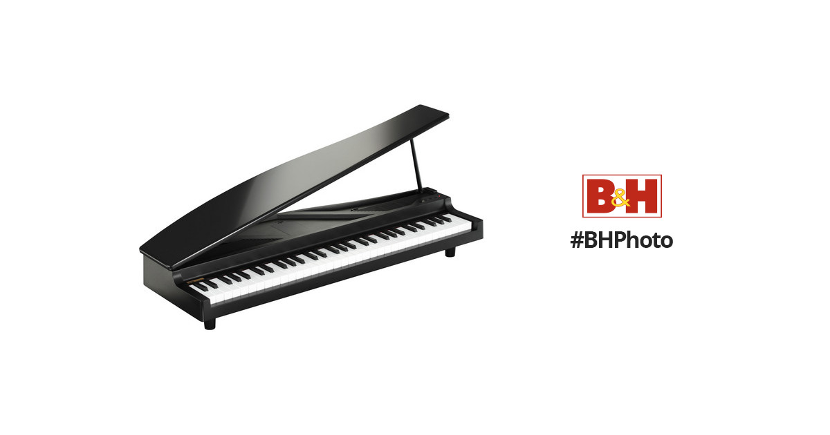 Korg microPIANO Digital Piano (Black) MICROPIANOBK B&H Photo