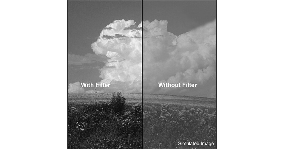 LEE Filters 100 x 100mm 12 Deep Yellow Filter 12STD B&H Photo