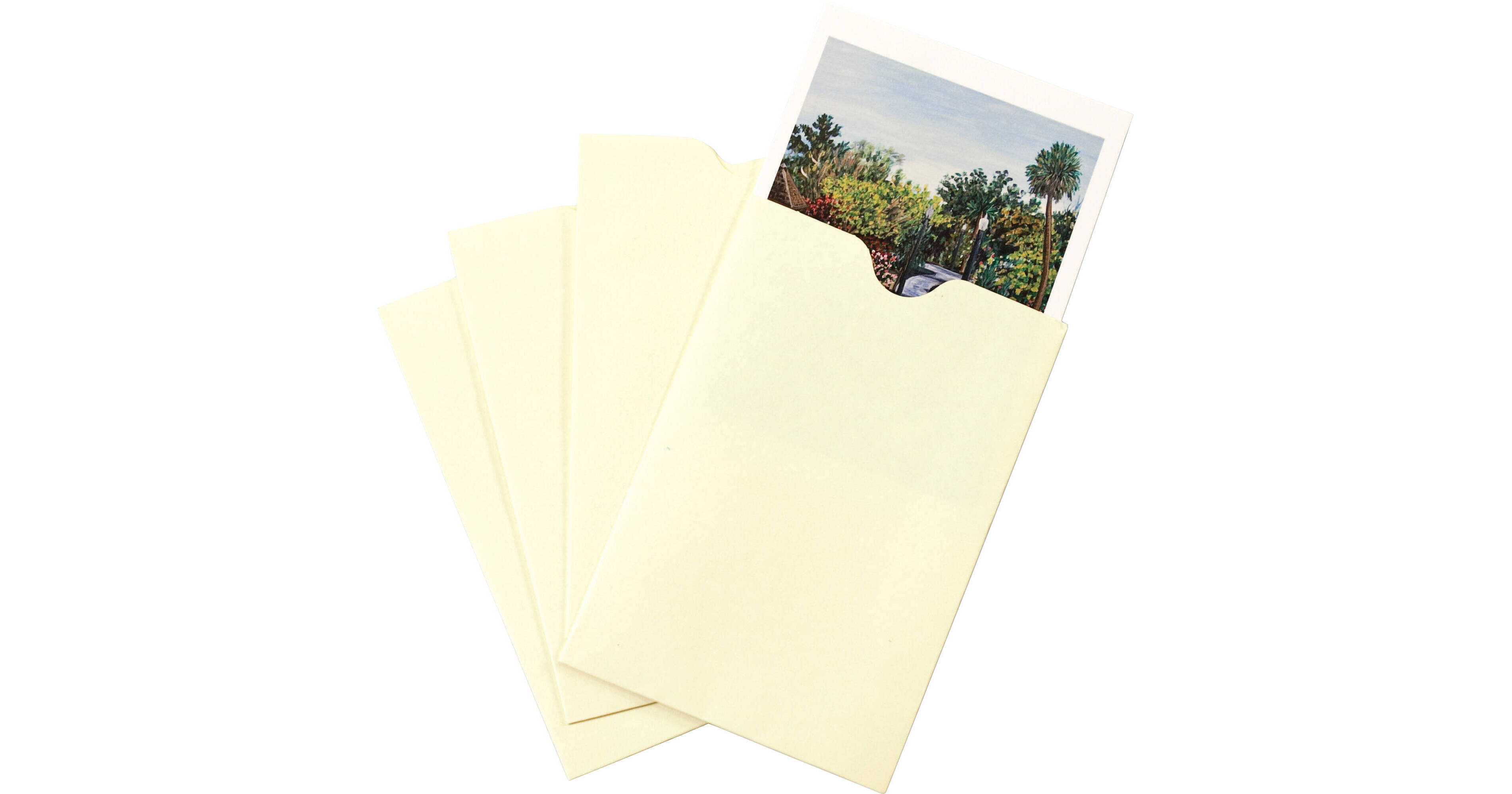 Print File Np46 4 x 6 Buffered Print Envelope (100-Pack)