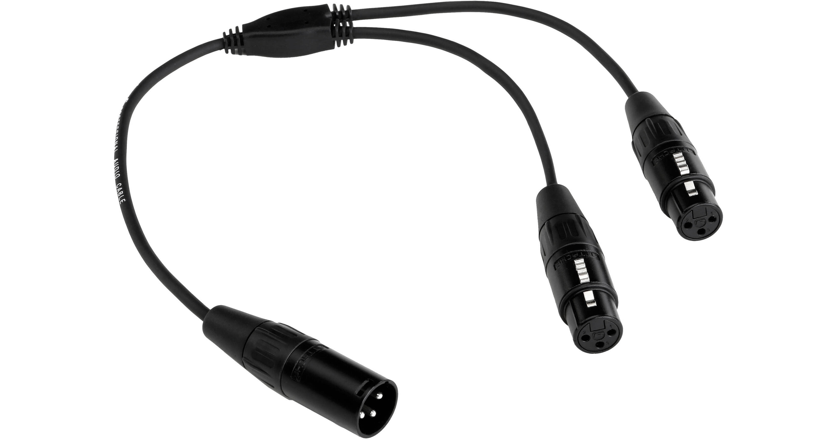Kopul XLR Y Cable (XLRM to Dual XLRF) XYCM2F B&H Photo Video