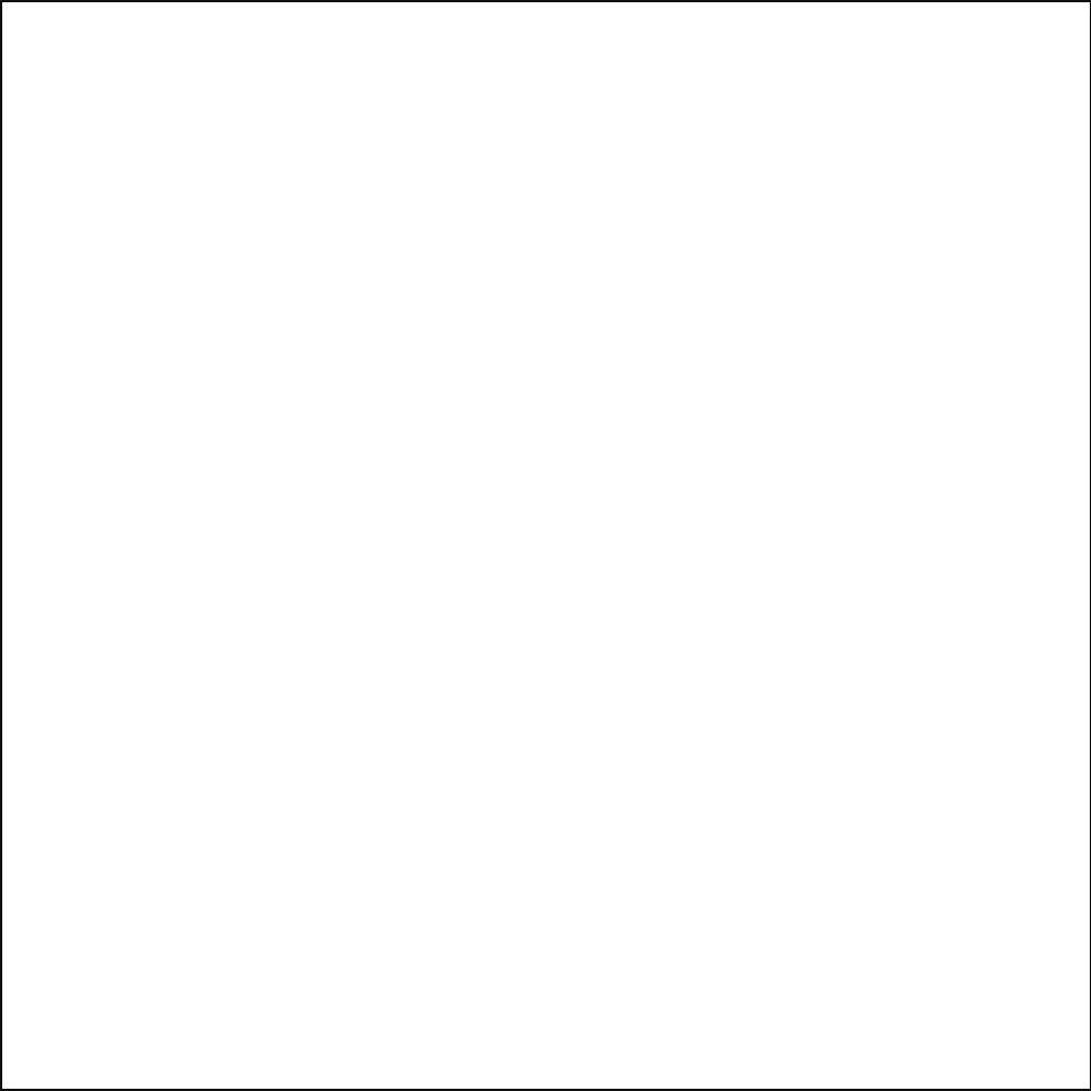 Savage Accent Solid Muslin Background 10 X 24 White Sd0124