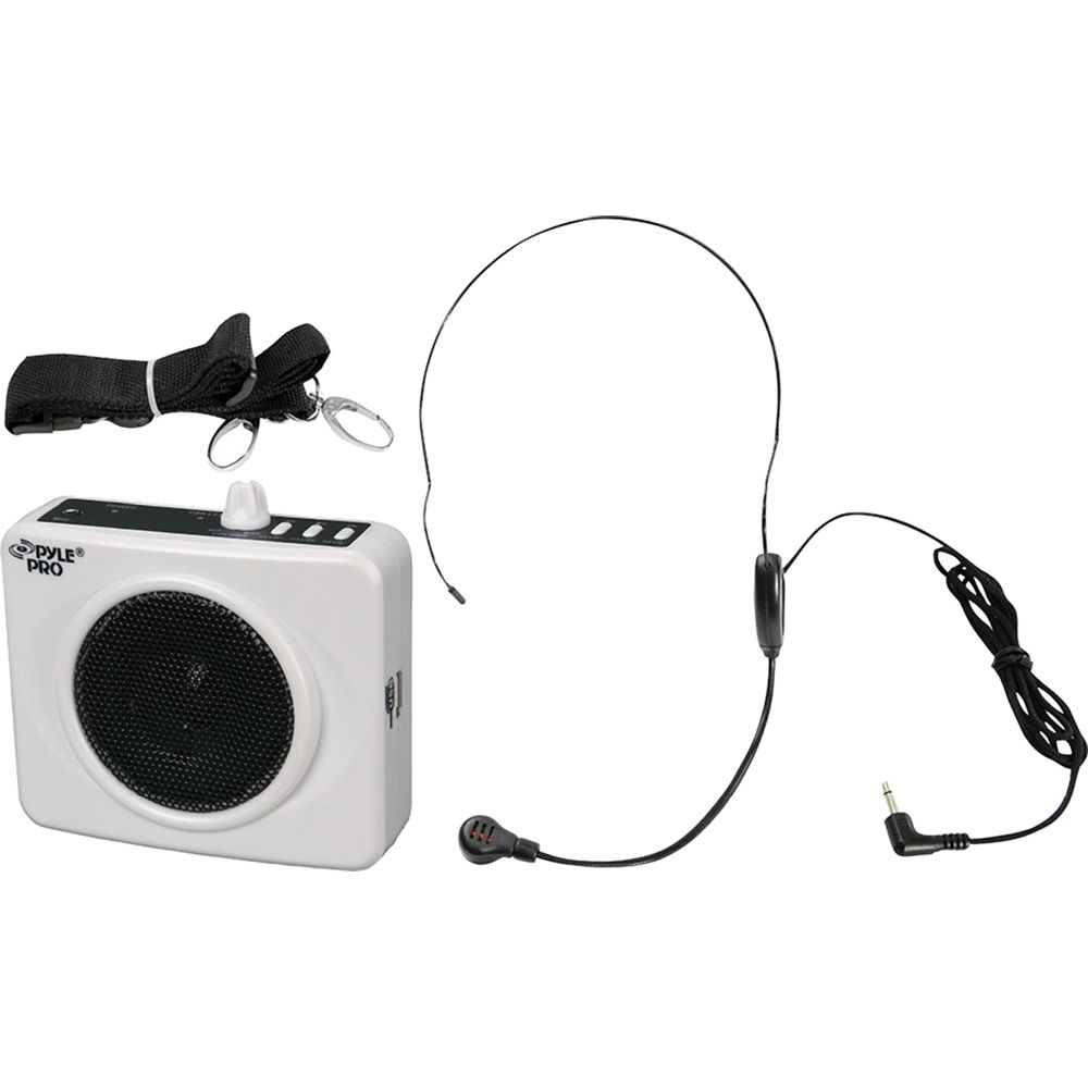 portable speaker with microphone input