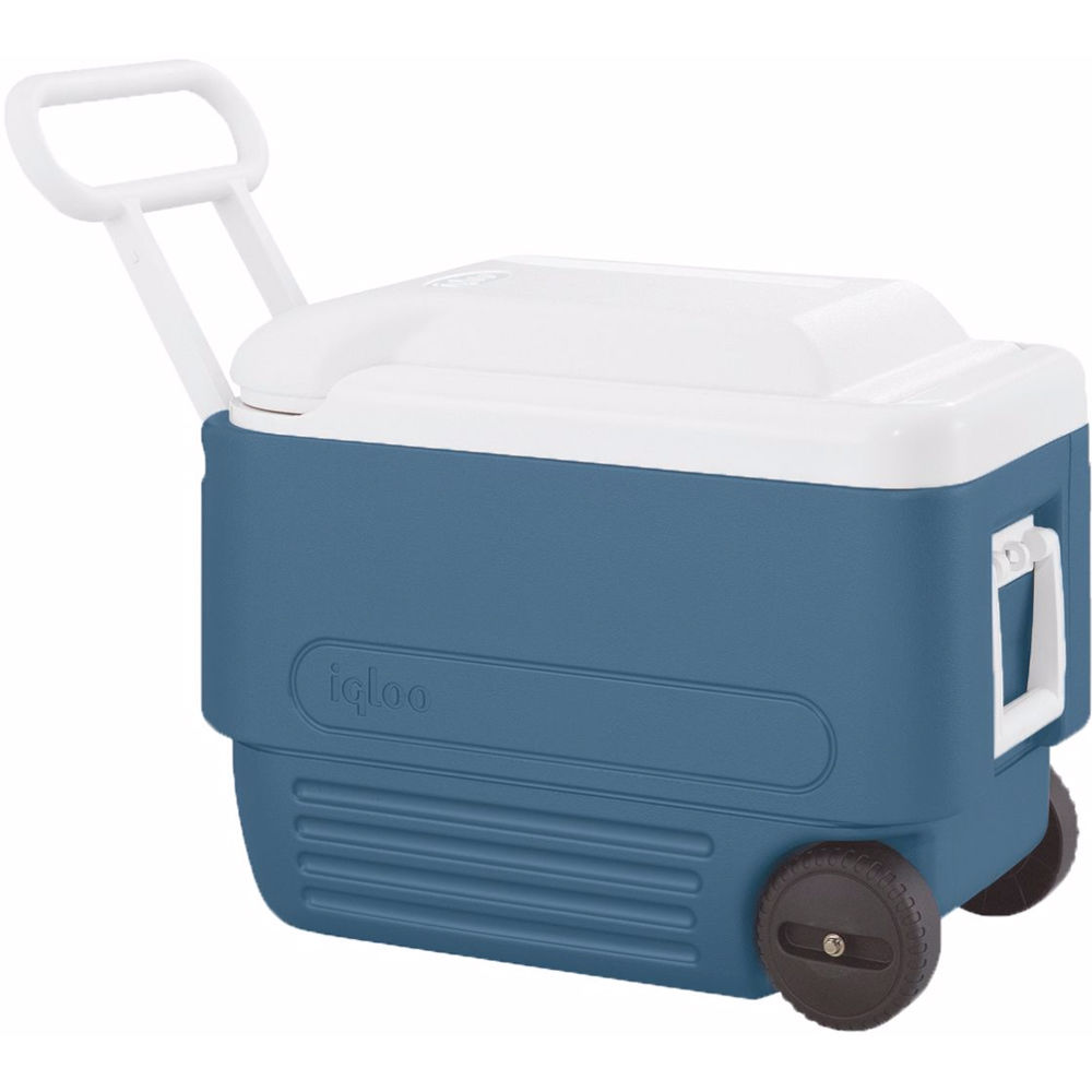 igloo 56 quart cooler