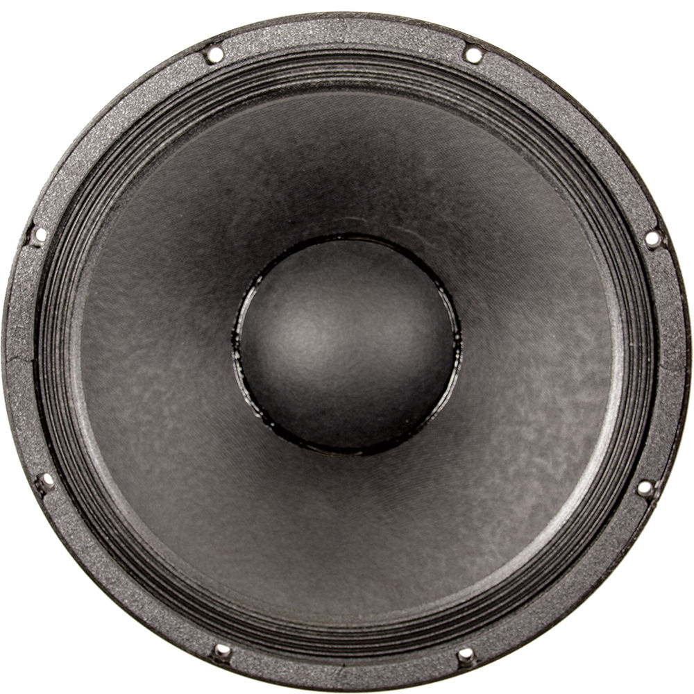 double 15 speaker