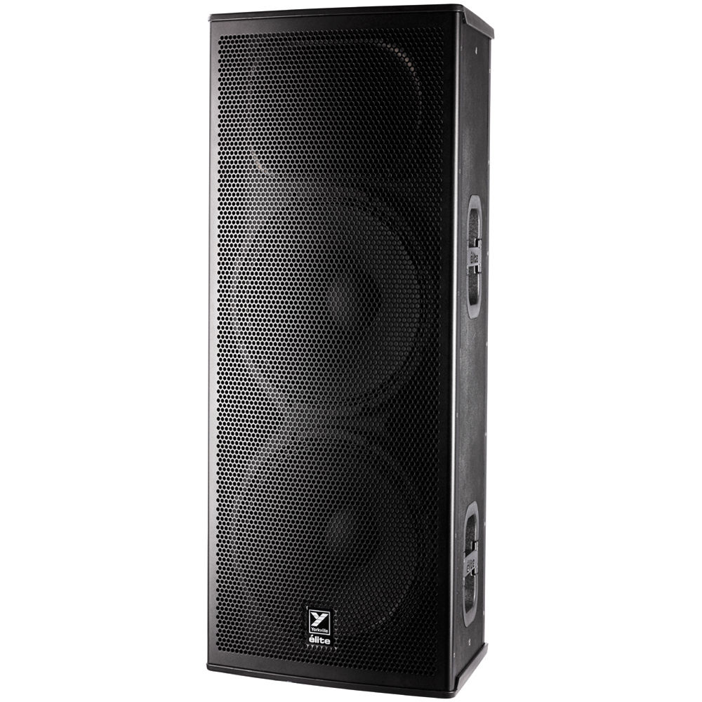 dual pa speakers