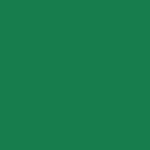 Savage Widetone Seamless Background Paper (#35 Holly, 9' x 150')