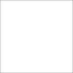 Savage Widetone Seamless Background Paper (53" x 12yd, #53 White)