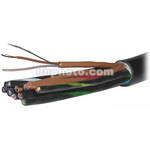 Canare MR202-8AT 8-Channel Multi-Channel Audio Snake Cable (656 ft)