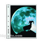ClearFile Archival-Plus Print Page, Holds Two 8 x 10" Prints - 10 Pack