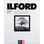 Ilford Multigrade IV RC DeLuxe Paper (Glossy, 16 x 20", 50 Sheets)