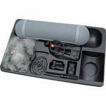 Neumann RSM191AS Stereo Shotgun Microphone Set RSM 191 A-S SET