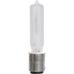 EiKO ETB Lamp (250W/120V)