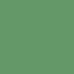Savage Widetone Seamless Background Paper (#35 Holly, 26" x 36')
