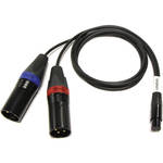 Ambient Recording 5-Pin Mini-XLR Female To Dual AK-TA5F-2XLR3F