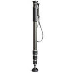 GM2542 Series 2 Monopod
