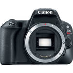 Canon EOS Rebel SL2 DSLR Camera (Black, Body Only)