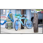 NEC C431 43" Class Full HD Commercial LED Display