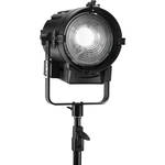 Lupo Dayled 1000 Tungsten LED Fresnel with DMX