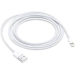 Apple USB Type-A to Lightning Cable (3.3')