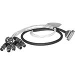 Pro Co Sound Multitrack Recording Cable D-Sub DB25 to 8x XLR Female 5'