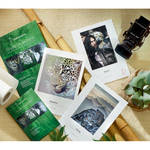 Hahnemuhle Natural Line Sample Pack (13 x 19")