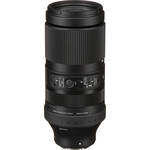 100-400mm f/5-6.3 DG Lens