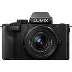 lumix g100 body only