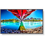 NEC MultiSync ME551 55" Class HDR 4K UHD Commercial IPS LED Display