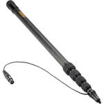 Boompoles