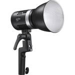 ML30 LED Dainty Light