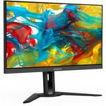 Computer Monitors