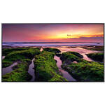 Samsung QBB Series QB65B-N 65" 4K Smart Commercial LED Display (No Wi-Fi)