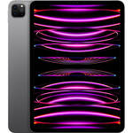 Apple 11" iPad Pro M2 Chip (Late 2022, 2TB, Wi-Fi Only, Space Gray)