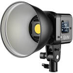 SD80D LED Monolight