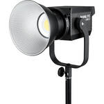 Forza 300 II LED Monolight