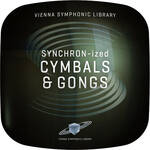 ILIO Studio Cymbals & Gongs Virtual Instrument