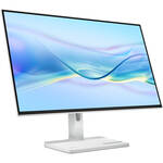 Computer Monitors