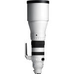 300-600mm f/4 DG Lens