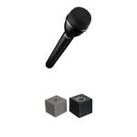 Electro-Voice RE50N/D-L Handheld Interview Mic with N/DYM Capsule & Auray Mic Flag Kit (Black)