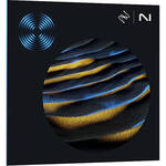 iZotope RX 11 Advanced Audio Repair Software (Upgrade from RX 11 Standard)