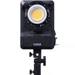 Wonder W200 Bi-Color LED Monolight