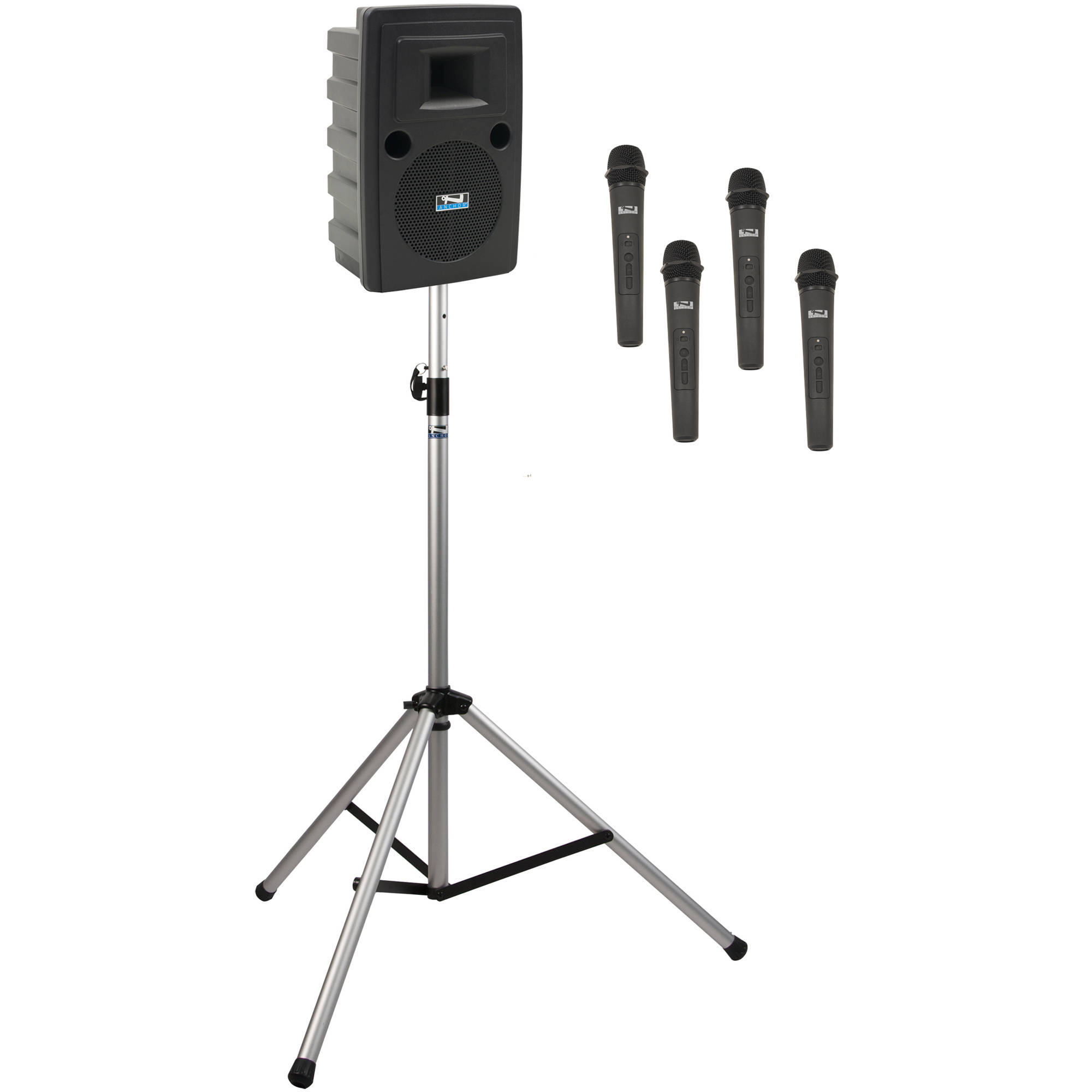 pa system with 2 microphones