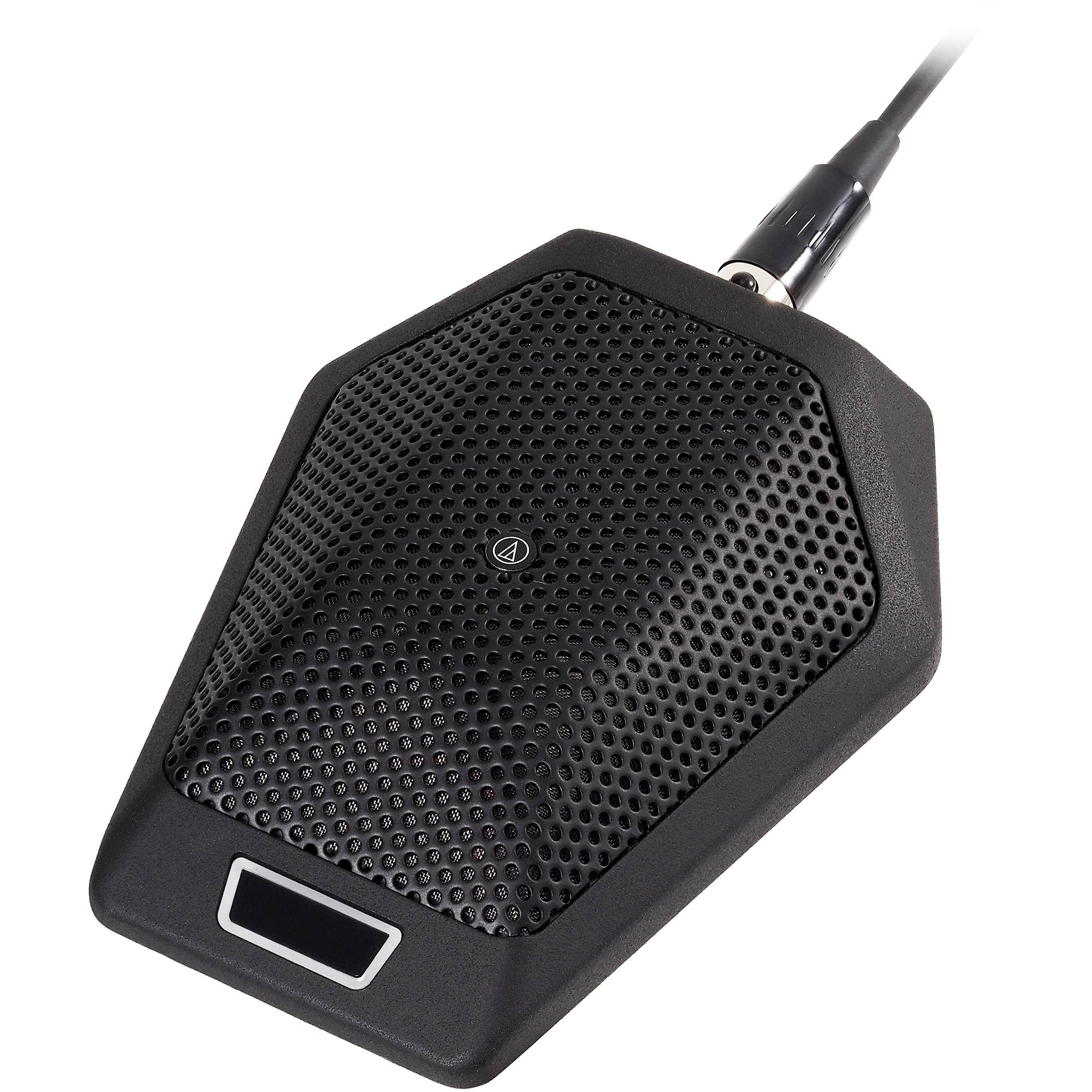mic with switch