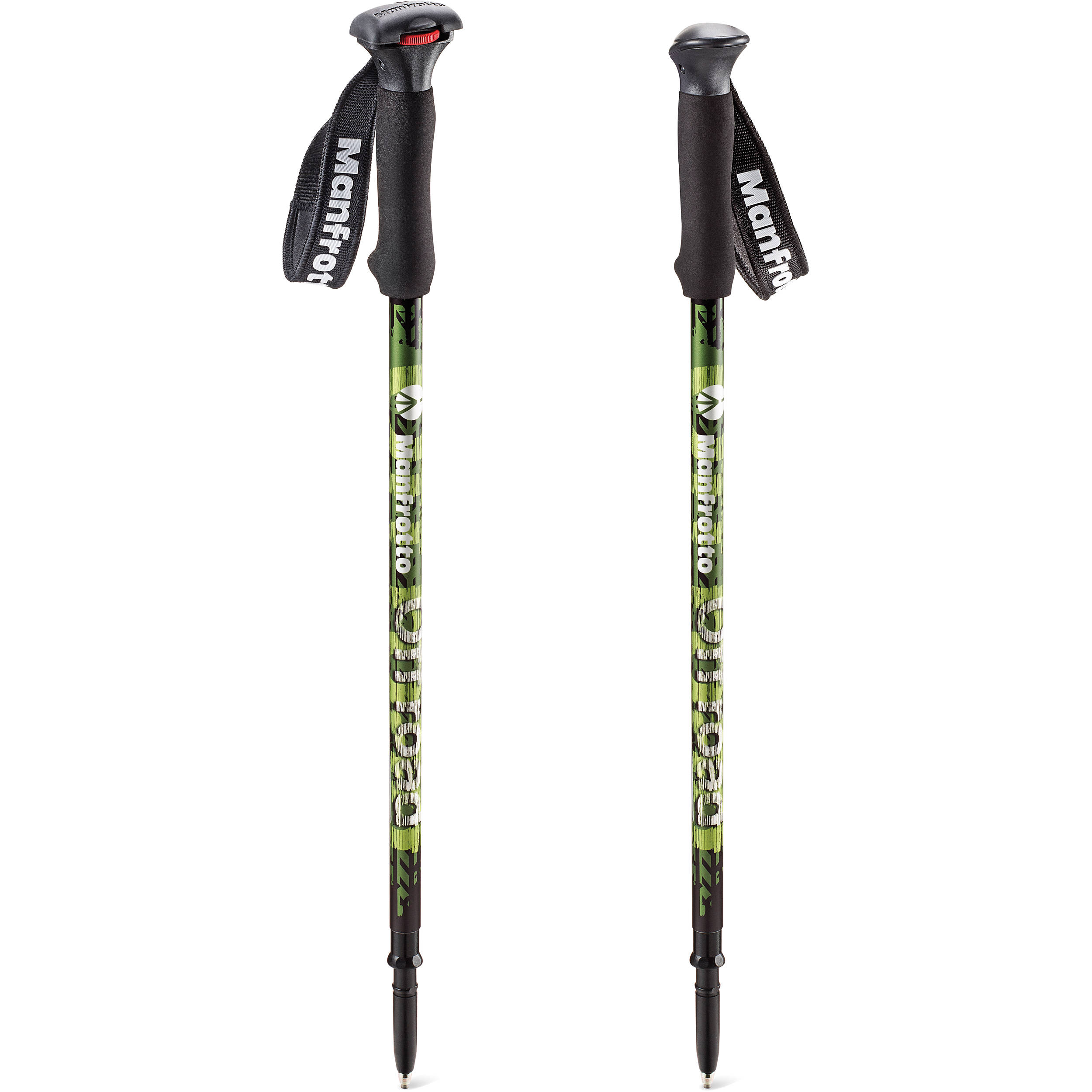 pair of walking sticks