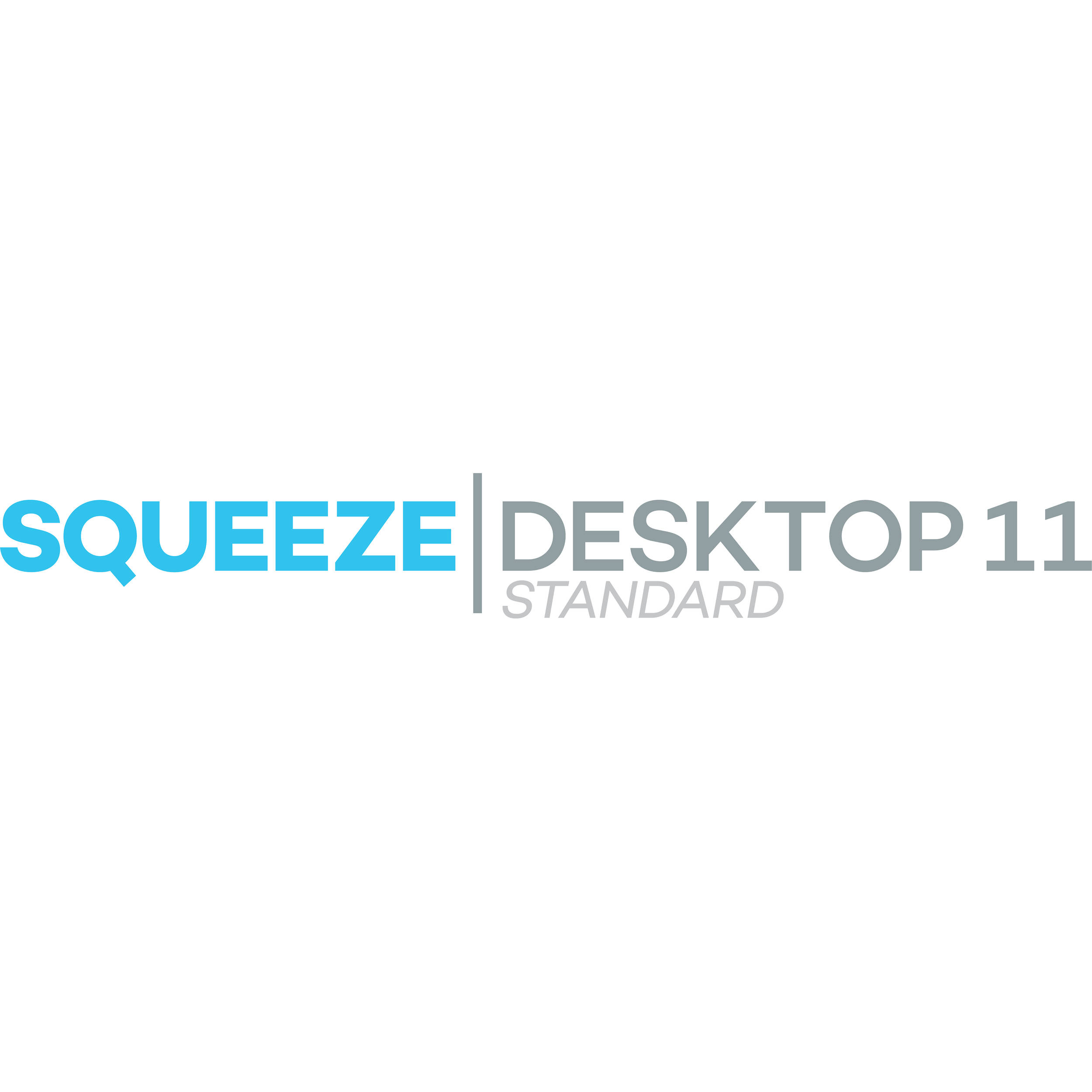 sorenson squeeze 10 system requirements