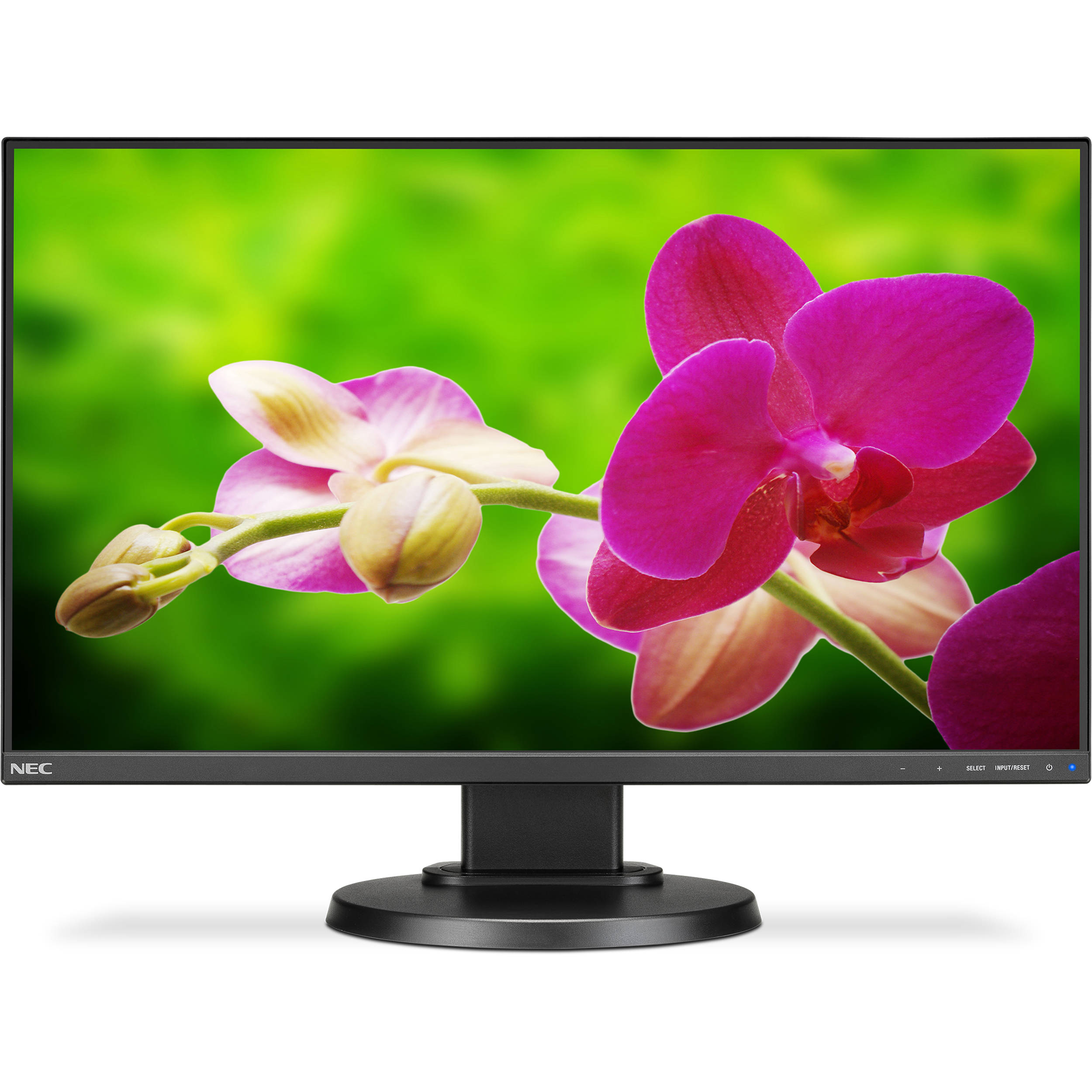 monitor with integrated speakers