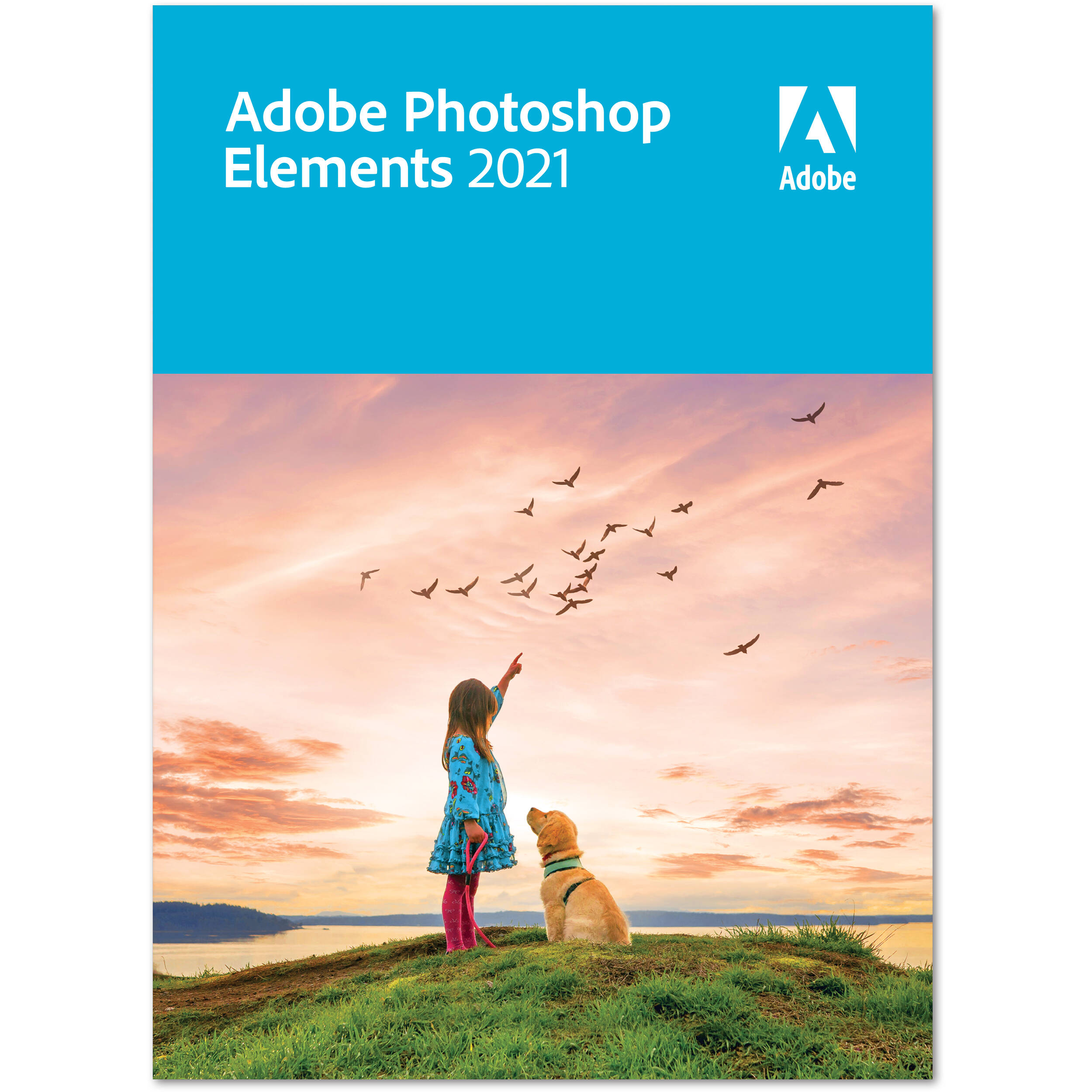 Adobe Photoshop Elements 21 Dvd Mac Windows B H
