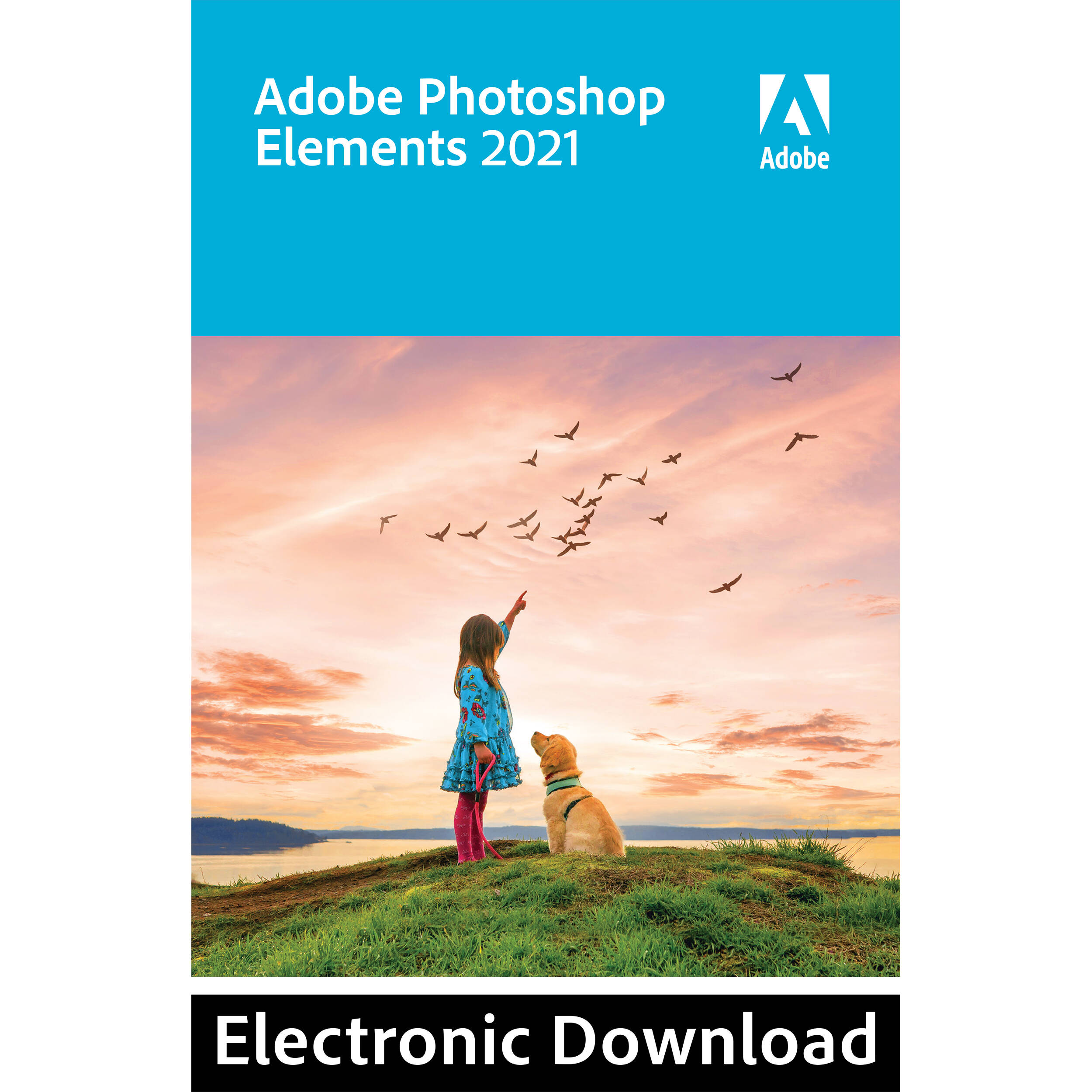 Adobe Photoshop Elements 21 Dvd Mac Windows B H