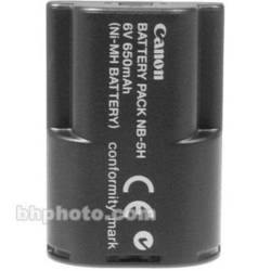 6v type h battery