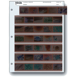 lot of 10 3 Pocket POSTCARD Collecting Archival Pages
